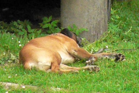 5.5.2012 VÝCVIKOVÉ SOUSTŘEDĚNÍ V ORLICKÝCH HORÁCH